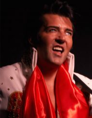Elvis Lookalike