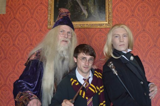 Harry Potter Lookalike Magic Show