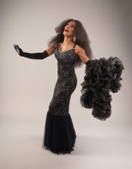 Diana Ross Lookalike